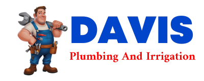 Trusted plumber in LOUANN